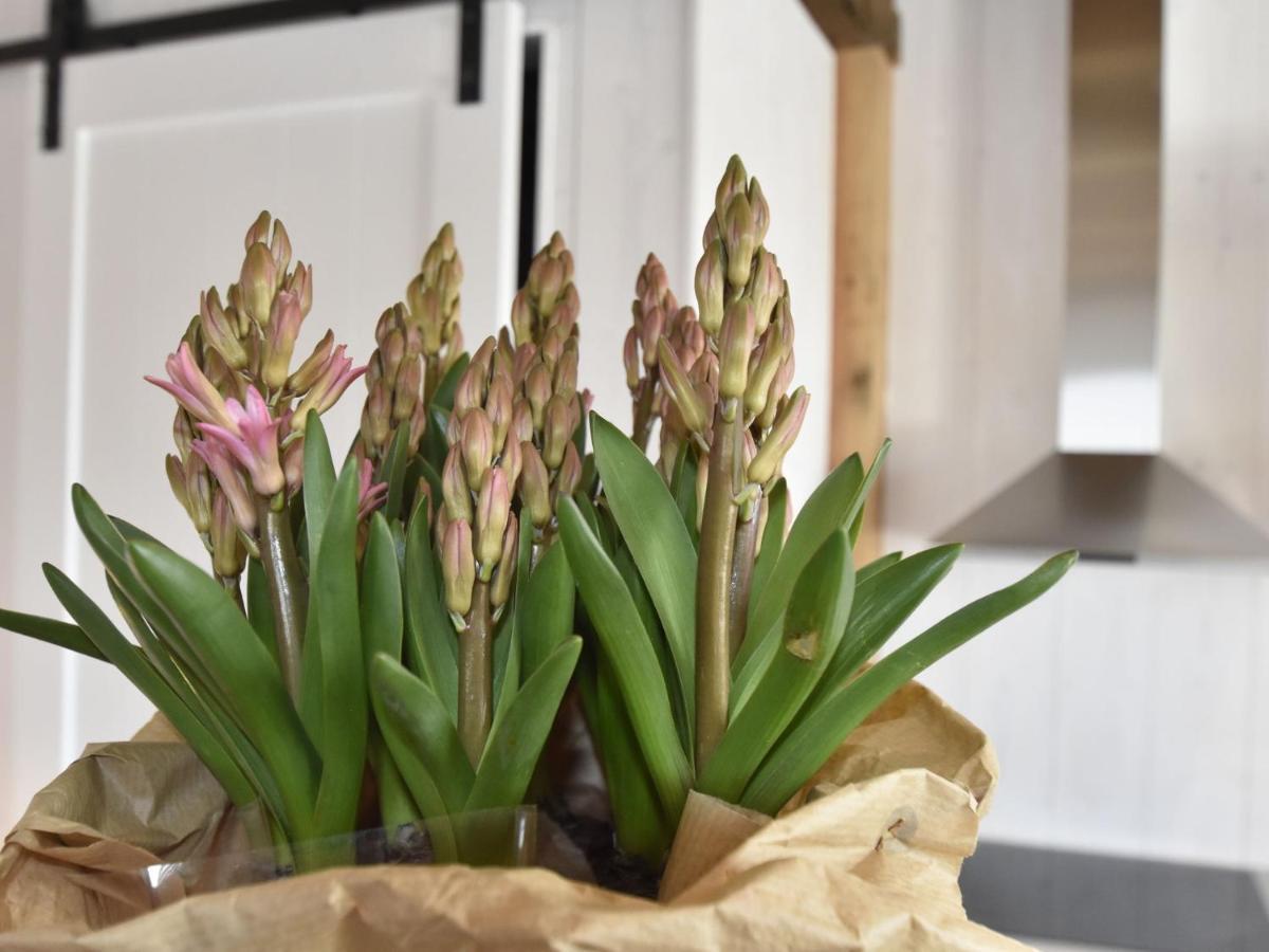 Studio Hazenborgh In Callantsoog Near The Beach Bagian luar foto